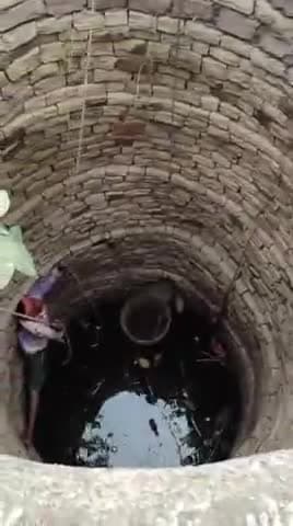 कर्वी: चित्रकूट रामनगर में कुएं में गिरे कुत्ते को ग्रामीणों ने रेस्क्यू ऑपरेशन कर निकाला बाहर