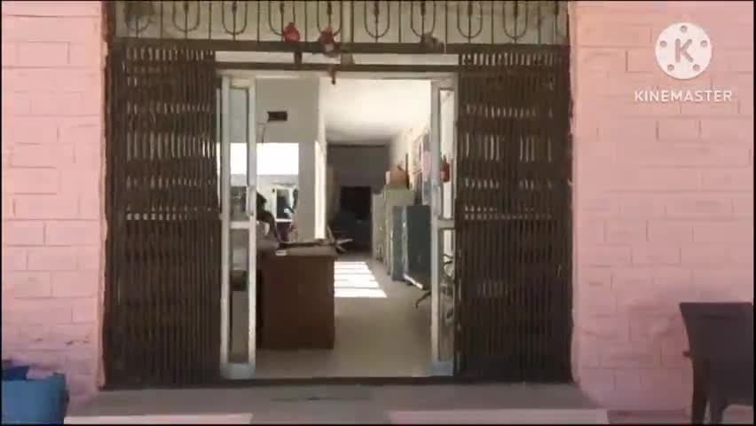 मौलासर: एनडीपीएस के प्रकरण में मौलासर पुलिस ने एक आरोपी को गिरफ्तार किया, 160 अफीम के हरे पौधे किए ज़ब्त