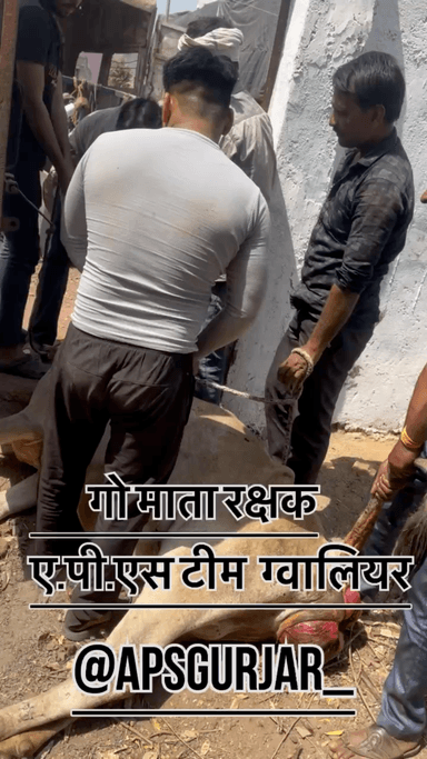 कुछ लोगों ने इस गाय की हालत बहुत खराब कर दी है 😡

Respect Girls help poor help animals 

#apsgurjar #help #cowgirl #gwalior