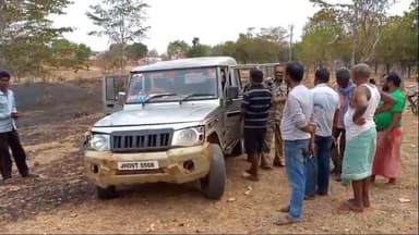 बिरनी: बिरनी के बनपुरा और जीतकुंडी जंगल में लगी आग