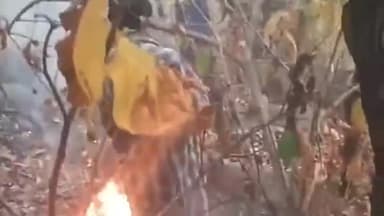 बूरमू: आरीद पंचायत के कोयजम जंगल में लगी आग, ग्रामीणों ने मिलकर बुझाई