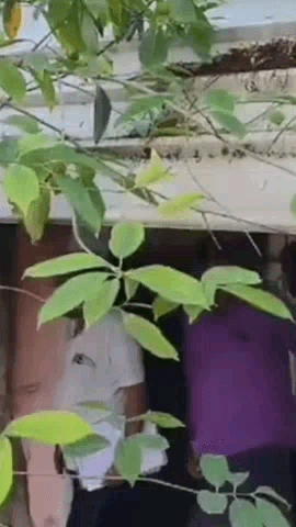 बस्सी: कालाडेरा थाना इलाके के धूलेश्वर महादेव मंदिर व मौनी बाबा आश्रम में बीती रात हुई चोरी, सूचना पर पहुंची पुलिस