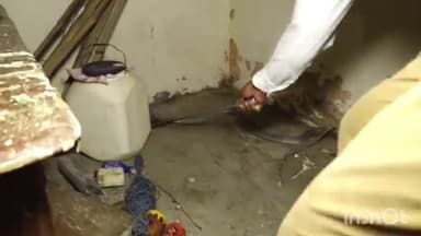 कुरवाई: सिरोंज रोड पर स्थित मकान से सर्प मित्र परवेज ने जहरीले सांप को रेस्क्यू किया, सुरक्षित जंगल में छोड़ा