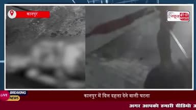 कानपुर में दिल दहला देने वाली घटना, पालतू कुत्ते ने अपनी मालकिन को नोच-नोच कर मार डाला
#कानपुर #दिल #दहला