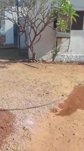 बडोनी: जिगना पुलिस ने थाने के सामने से अवैध शराब की तस्करी करते हुए सफारी कार से 50 पेटी बियर जब्त की, मामला दर्ज