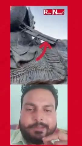 दिल्ली में महाराणा प्रताप की मूर्ति तोड़ दी गई। #maharanapratap #kashmirigate #shorts #delhi #viral