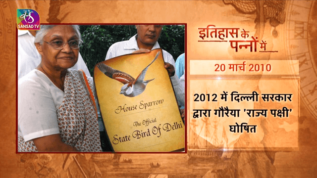sansad tv विश्व गौरैया दिवस #faridabad #news #delhincr #bird #फरीदाबाद #palwal #delhi #bansgaon #gola #india #mau