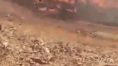 खकनार: बोदरली जंगल में आग लगाने के आरोप में युवक गिरफ्तार, 3 हेक्टेयर वन क्षेत्र जल गया