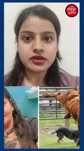 गाय का दूध पीने से महिला की मौत,गाय को कुत्ते ने काटा था
#GreaterNoidaNews #greaternoida #JewarNews