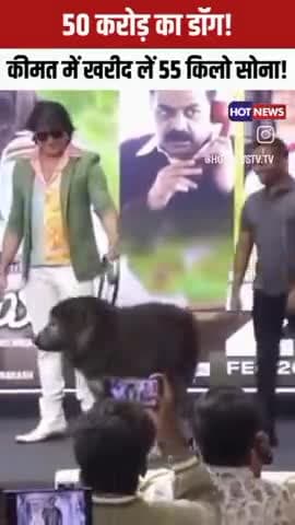 50 Crore Ka Kutta Kharida Hai Kabhi 😂🤣🤔🤔 #2025 #video #viral #Amezing #ajabgajabnews #trendingvideo