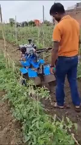 #गन्ना_खोदने_की_मशीन | कॉल-9999087359  | पता- एम.के. कृषि यंत्र, #भूतपुरी , जिला-#बिजनौर , उ. प्र. |
#powertillerbijnor