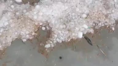 लोहरदगा: जिले में मूसलाधार बारिश और ओलावृष्टि से घरों के छप्पर टूटे, खेतों की फसल बर्बाद हुई