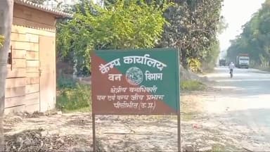 अमरिया: ग्राम पंचायत सरैंदा पट्टी के मिलक में बिना परमिट के काटे गए शीशम के लगभग एक दर्जन पेड़