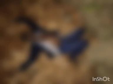 वाड्रफनगर: सोनहत गांव से लगे जंगल में एक युवक का शव मिला, पुलिस हत्या की आशंका में जांच में जुटी