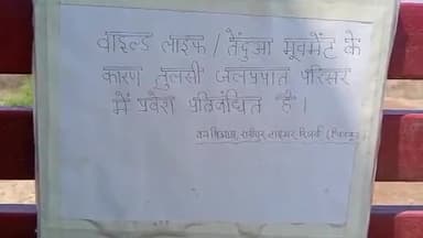 कर्वी: चित्रकूट टिकरिया में बने तुलसी जलप्रपात में तेंदुए की दस्तक, पर्यटकों के लिए जलप्रपात हुआ बंद