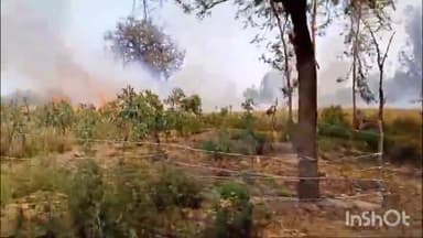 हरदोई: तेरिया गाँव में अज्ञात कारणों से गेहूं की फसल में लगी आग, कई बीघा फसल जलकर हुई खाक
