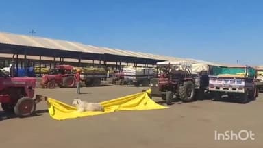 गुना नगर: नानाखेड़ी मंडी में ट्राली लगाने के लिए किसानों से ₹1000 मांगे जाने पर विरोध, किसान नाराज