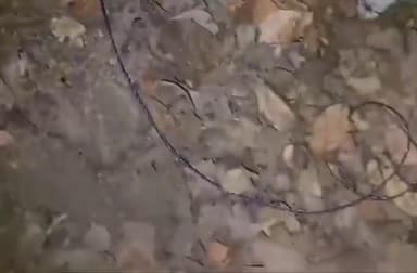 #दुखद 
छत्तीसगढ़ के बीजापुर में सुरक्षाकर्मियों को लेकर जा रहे वाहन पर IED ब्लास्ट, 

STF के दो जवान घायल हुए। इस धमाके से करीब 8 फीट चौड़ा-गहरा गड्ढा हो गया।