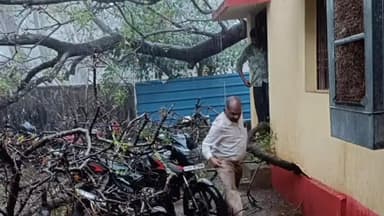 कोंडागांव: जिले में भारी बारिश ने मचाई तबाही, पेड़ गिरने से हुआ भारी नुकसान व किसान हुए प्रभावित