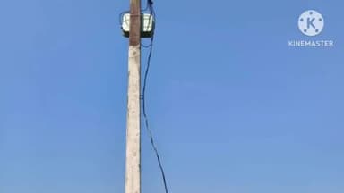 नरपतगंज: बढ़ेपारा और पोसदाहा के बीच अज्ञात चोरों ने 25 पोल विद्युत तार की चोरी की