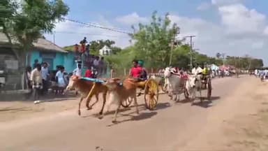 ஆவுடையார் கோவில்: காமன் பண்டிகையை முன்னிட்டு திருபுனவாசலில் நடைபெற்ற மாட்டுவண்டி போட்டியை ஏராளமான பொதுமக்கள் பார்த்து ரசித்தனர் Rs 3 லட்சம் ரொக்க பரிசு வழங்கப்பட்டது