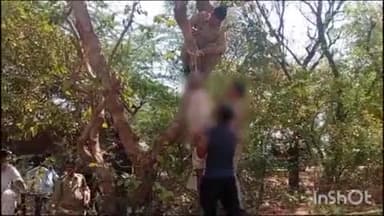 सादाबाद: चंद्रा फार्म हाउस के पास पेड़ पर लटका मिला अज्ञात बुजुर्ग का शव, पुलिस ने भेजा पोस्टमार्टम के लिए और शिनाख्त में जुटी