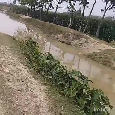 नरपतगंज: खैर के समीप टूटी नहर में छोड़ा पानी खेतों में फैला, लोगों ने जताया आक्रोश