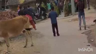 हरदोई: अजीजपुर गांव में मामूली बात पर दो पक्षों में हुई मारपीट, जमकर चले लाठी-डंडे; वीडियो सोशल मीडिया पर हो रहा वायरल