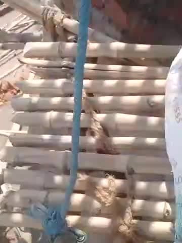 ग्राम ढडोरा राम मंदिर निर्माण
मोबाइल नंबर 9285053661
#kanhaiya