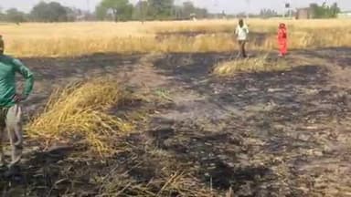 सिराथू: अझुवा में हाई टेंशन बिजली तार से निकली चिंगारी से गेहूं के खेत में लगी आग