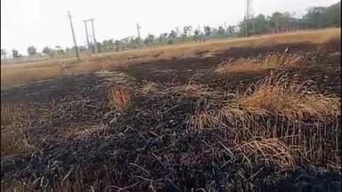 रजौन: धौनी बाजार के पास बिजली के तारों से आग लगने से किसान की गेहूं की फसल राख हो गई