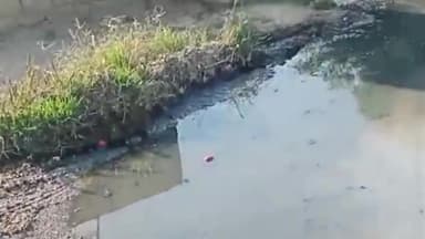 पीपलदा: इटावा पंचायत समिति के भोपालगंज गांव में सीसी रोड पर गंदगी का नाला बनने की शिकायत वार्ड पंच ने की # jansamsya