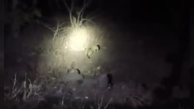 रैपुरा: दमोह रोड पर डायल 100 के पायलट और आरक्षक को मिला तेंदुआ, मचा हड़कंप, वीडियो हुआ वायरल