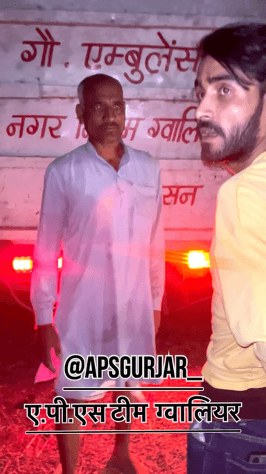 लष्मणगढ़ पर हुआ एक्सीडेंट घायल हुई गौ माता 🥺

Respect Girls help poor help animals 

#apsgurjar #support #cow #gwalior #accident