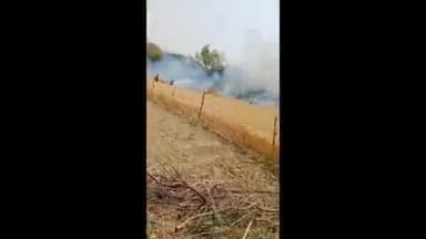 मंझनपुर: यूसुफपुर रारा में पेड़ के नीचे जलाई गई आग की चिंगारी से एक बीघा गेहूं की फसल जलकर राख