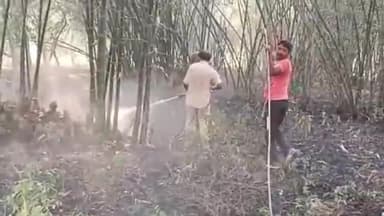 डंडारी: कटरमाला वार्ड संख्या 6 में बांस के बीटा में आग लगने की घटना