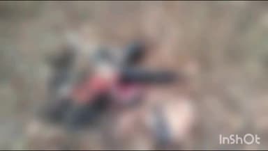 वाड्रफनगर: धनवार जंगल में एक युवक की सड़ी-गली अवस्था में लाश बरामद