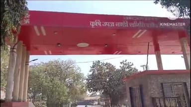 बड़ौद: बडौद कृषि उपज मंडी 5 दिनों के लिए रहेगी बंद, मंडी प्रशासन ने दी जानकारी