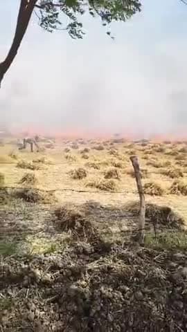 mathura Baldev nagala mohan me aag lage #agni #mathura
#baldev
#raya
#jugsana #medua