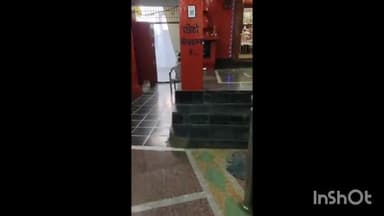 डौण्डीलोहारा: चैत्र नवरात्र का हुआ आगमन डोंडिलोहारा लोहार नगर की काली मंदिर में भक्तों का लगा ताता #Viral #News #Navratra