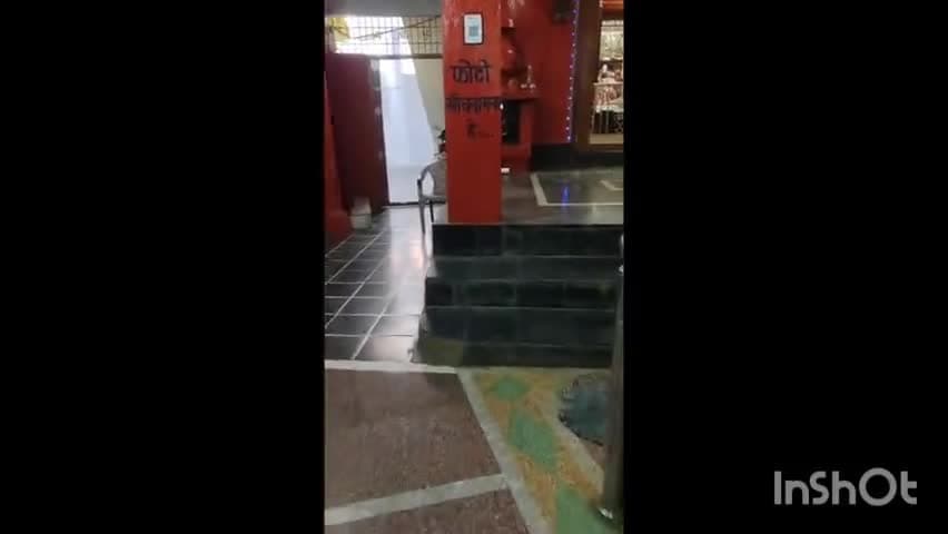 डौण्डीलोहारा: चैत्र नवरात्र का हुआ आगमन डोंडिलोहारा लोहार नगर की काली मंदिर में भक्तों का लगा ताता #Viral #News #Navratra
