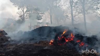 बरहट: गढ़वा कटौना में अचानक आग लगने से 5 धान के खाली पुंज जलकर हुए राख, शरारती तत्वों पर आग लगाने की आशंका