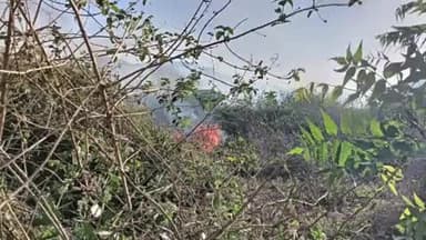 राजगीर: आजाद शत्रु किला मैदान के पश्चिमी भाग में झाड़ियों और जंगलों में लगी आग