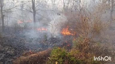 अधौरा: अधौरा प्रखंड के वनसती देवी और धेनुवा जंगल में लगी भीषण आग