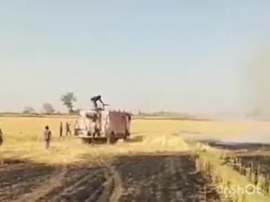 कराहल: बंधाली गांव में खेतों में लगी आग, लाखों की फसल जलकर हुई ख़ाक; दमकल विभाग ने आग पर पाया काबू