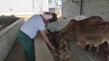 झांसी: सदर विधायक ने अपने आवास के पास गौशाला में काम करते वक्त कहा, वोटों की राजनीति में अपनी जड़ों को भूल गए अखिलेश