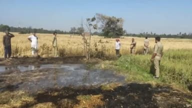 ठाकुरद्वारा: फरीदनगर के जंगल में खेत में आग लगने से 20 बीघा गेहूं की फसल जल गई