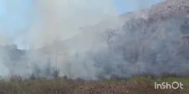 ब्यौहारी: जनपद पंचायत ब्यौहारी के पपौढ़ सादा गांव के जंगल में अज्ञात कारण से आग लग गई