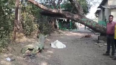 बीना: बीना रेलवे स्टेशन के पास 75 वर्षीय वृद्ध ने फांसी लगाकर की आत्महत्या, पुलिस ने मामला दर्ज किया