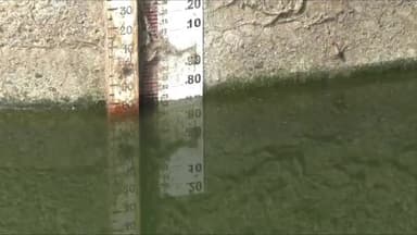 માળીયા: મચ્છુ-2 ડેમમાંથી પાણી છોડાતા માળીયા પંથકની જીવાદોરી સમાન મચ્છુ-3નો પણ એક દરવાજો ખોલાયો